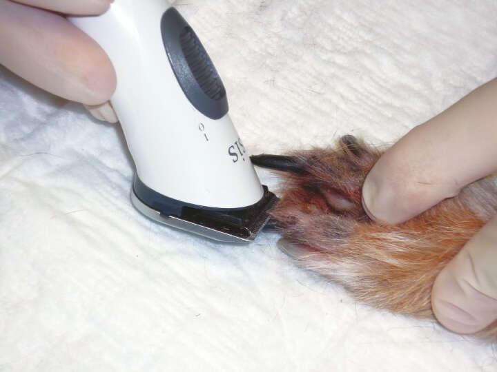 AESCULAP Akkutrimmer Isis